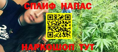 spice Новозыбков