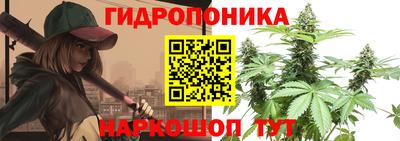 spice Новозыбков