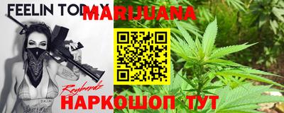 spice Новозыбков