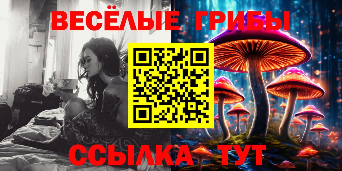Туймазы  Галлюциногенные грибы прущие грибы  Галлюциногенные грибы ЛСД  Вход с VPN 